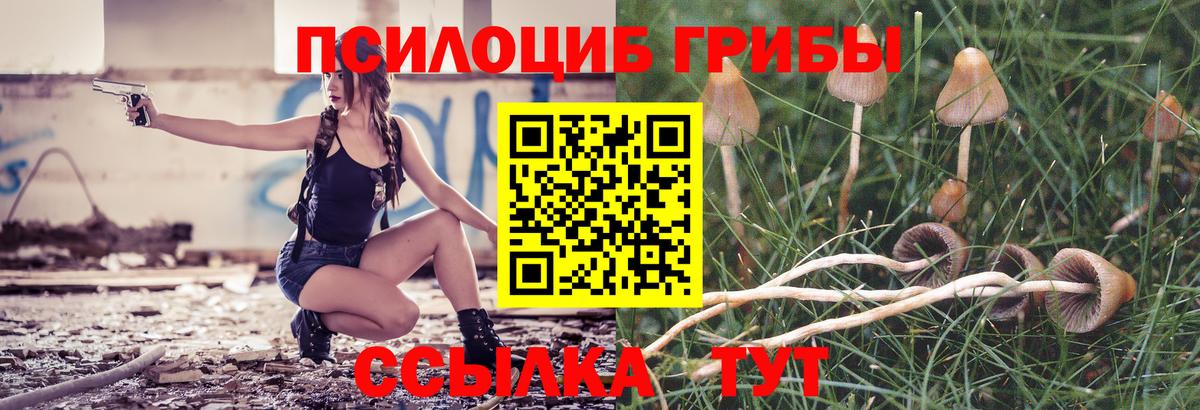 хочу наркоту  Псилоцибиновые грибы ЛСД  Вход с VPN  Галлюциногенные грибы мицелий  Куйбышев 